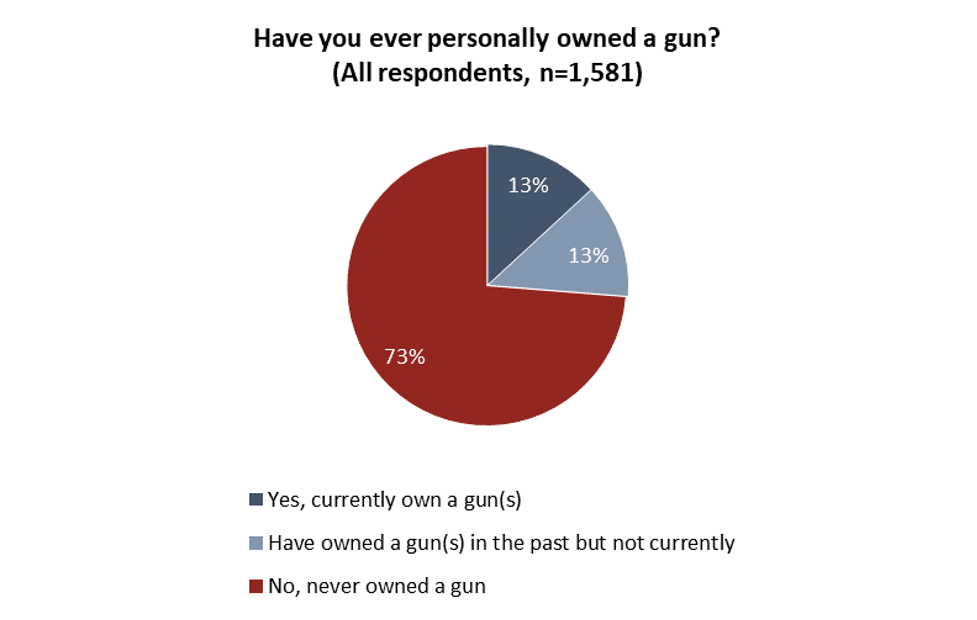 Have you ever owned a gun?